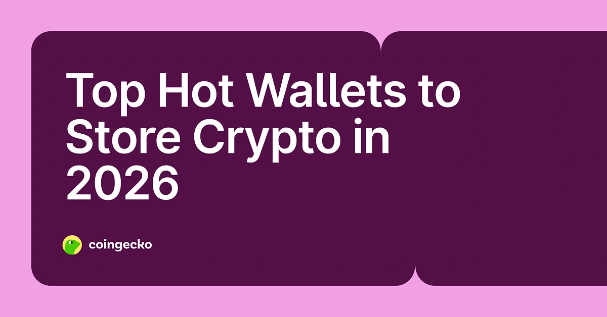 Top Hot Wallets 2026