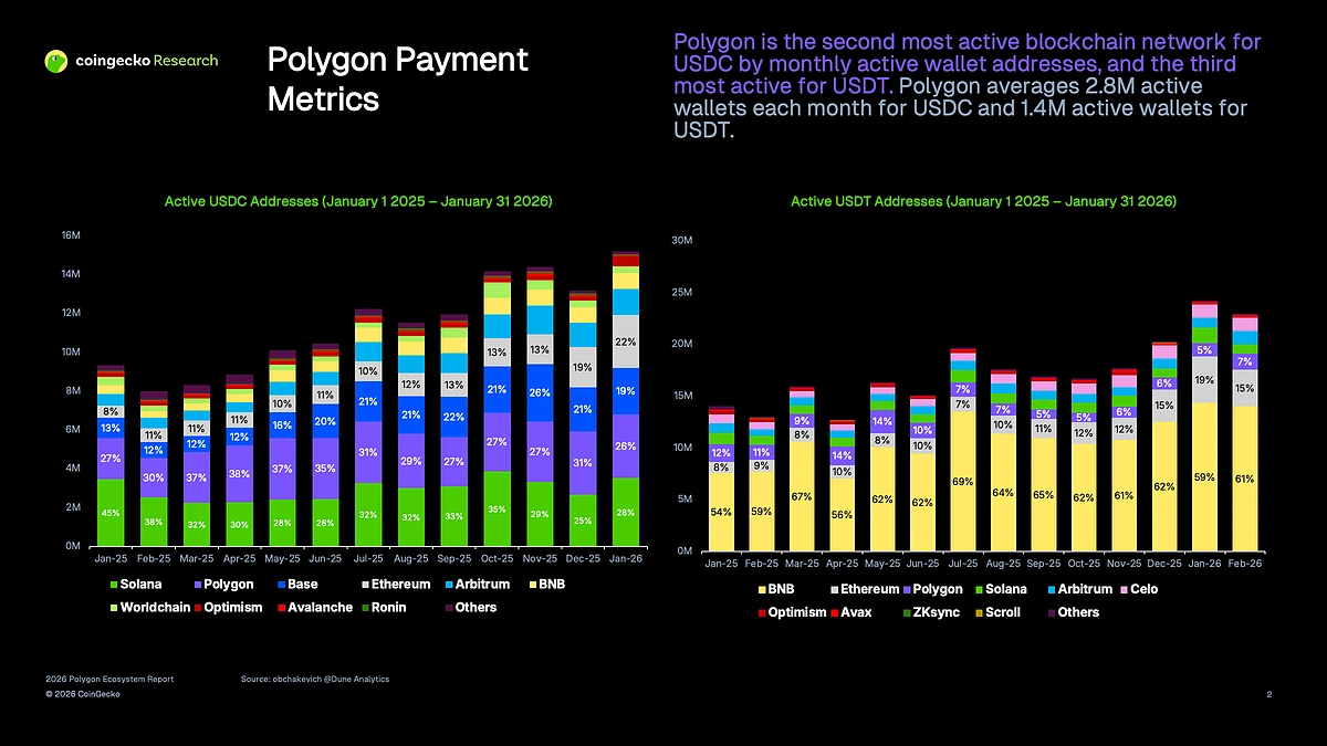 polygon payment metrics slide pt 1