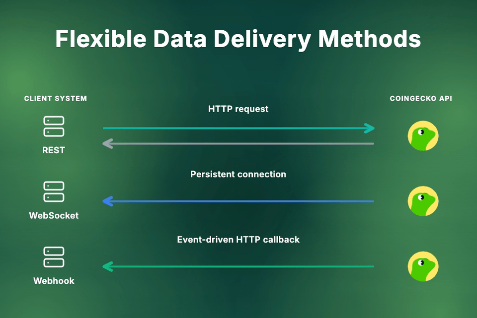 Comparison of CryptoSync API data delivery methods: REST API, WebSocket, and Webhooks, each serving different use cases