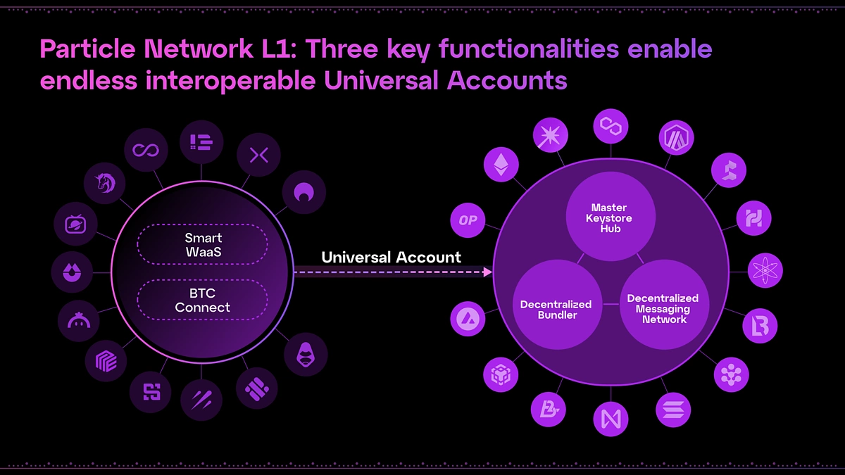 Particle Network
