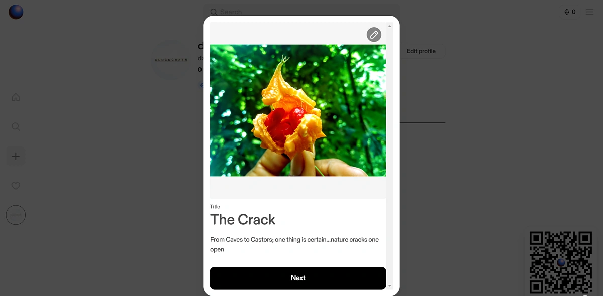 Enter details for your Zora post