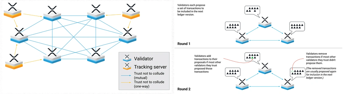 XRP Ledger Consensus