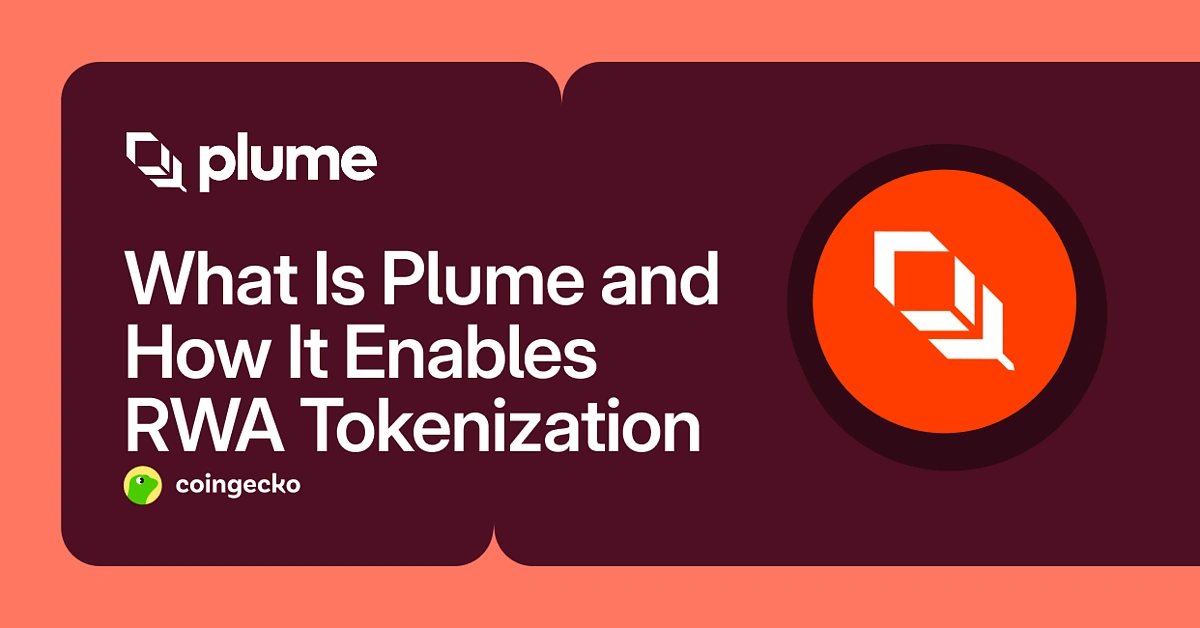 What Is Plume Network