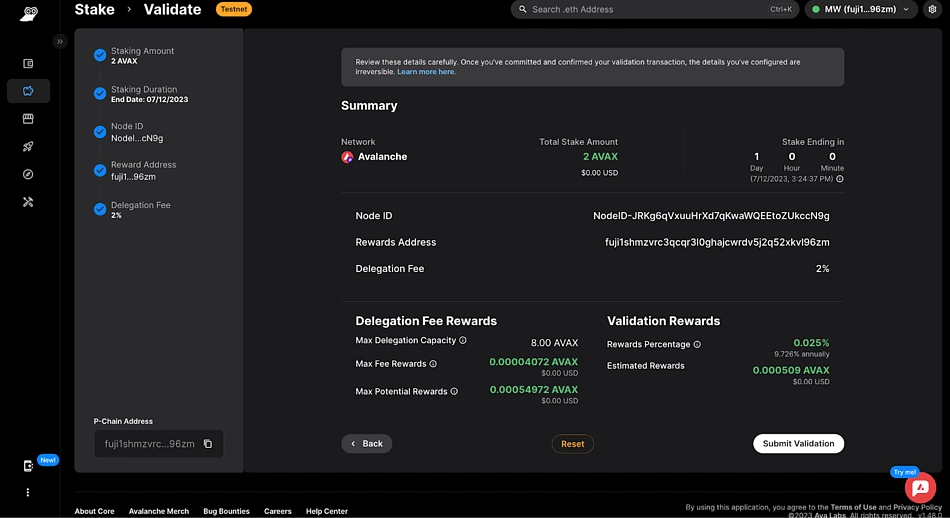 core web submit validation summary