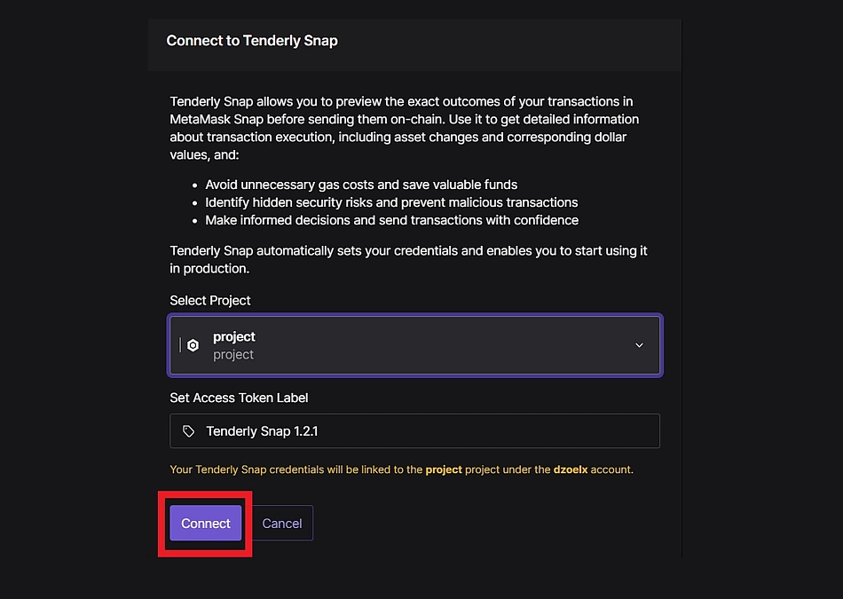 Connect Tenderly Snap to Project