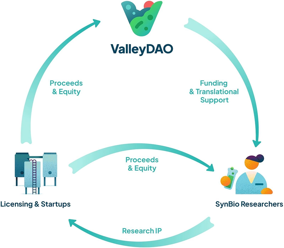 Valley DAO