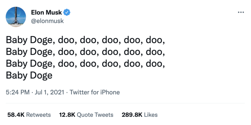 elon musk baby doge