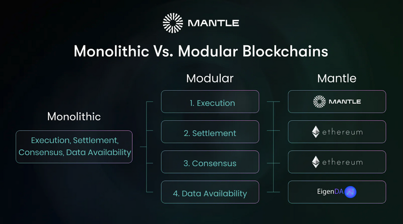 Modular network Mantle